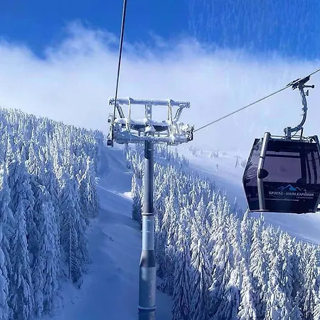 Foka & - 600m From Gondola Lift
