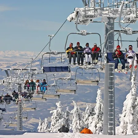 Apartment Foka & - 600m From Gondola Lift Kopaonik