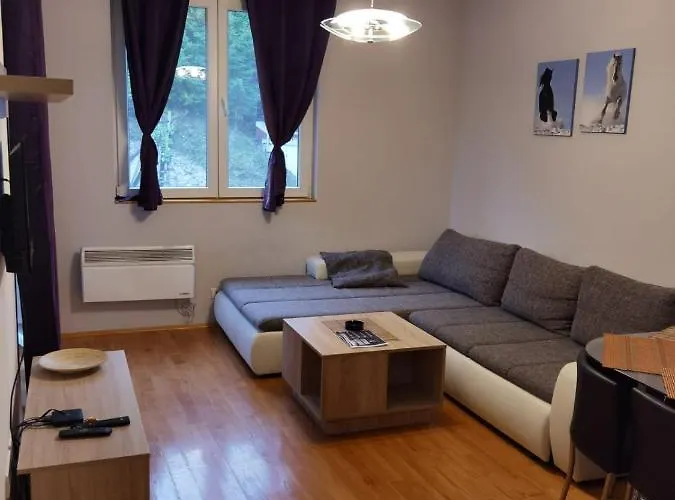 Foka & - 600m From Gondola Lift 公寓 *