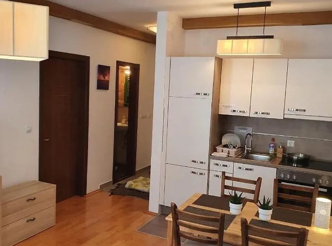 Foka & - 600m From Gondola Lift 公寓 *