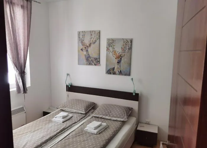 Foka & - 600m From Gondola Lift 公寓 科帕奥尼克