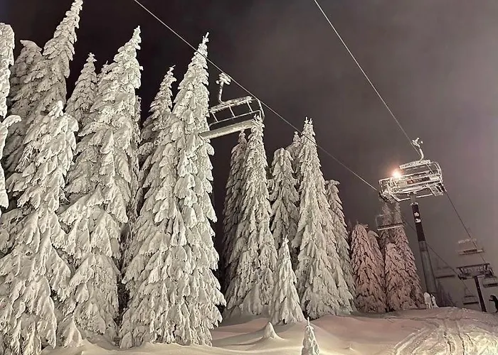 Foka & - 600m From Gondola Lift