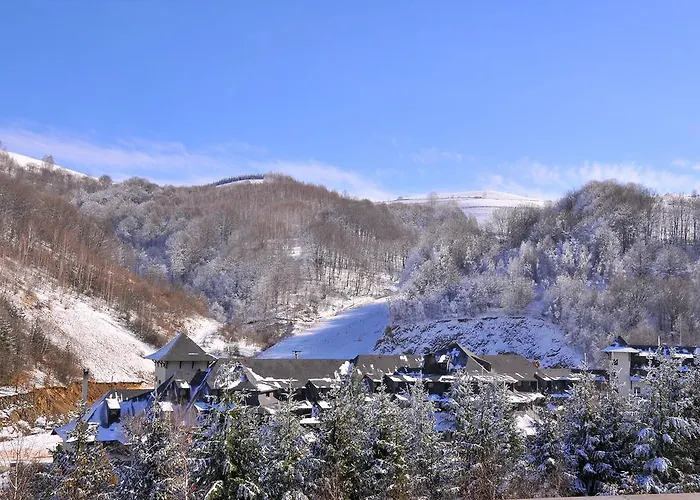 Foka & - 600m From Gondola Lift 科帕奥尼克